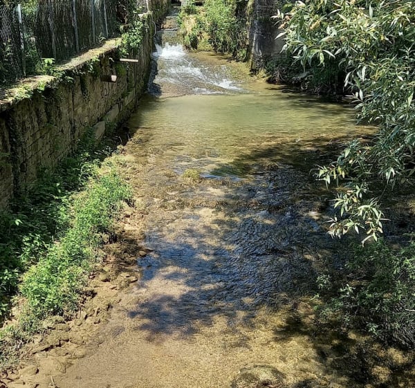 Balade de Couternon à Longchamp - Couternon - 1