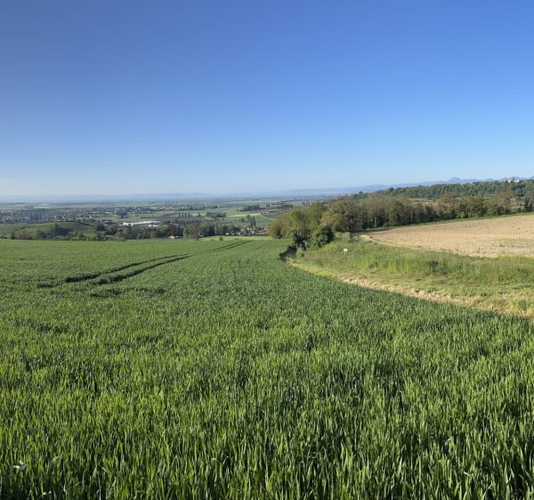 Hauteurs de la Limagne - Chaptuzat - 1