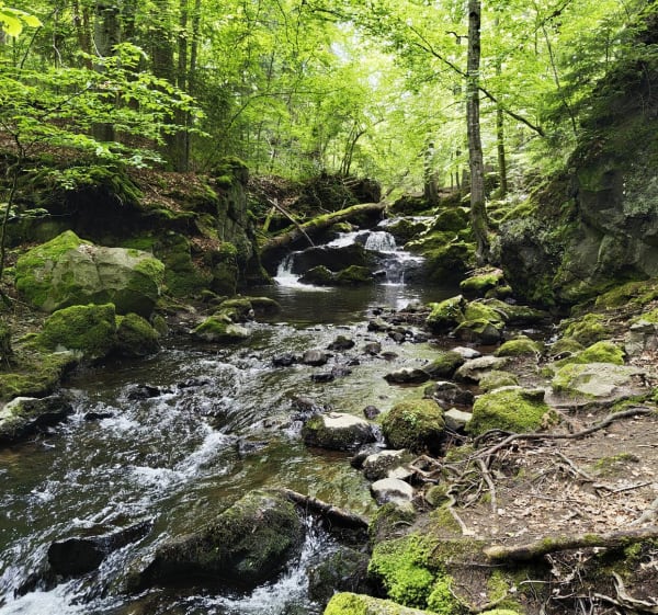 Balade entre Besse et la Cascades de Chiloza - Besse-et-Saint-Anastaise - 1