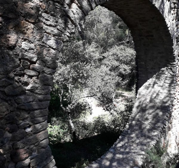 Les crêtes du Barroux - Le Barroux - 1