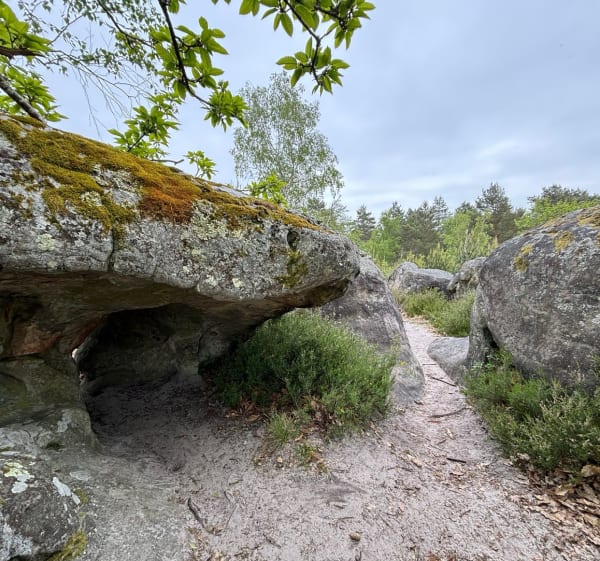 Entre rochers et nature à la Canche aux Merciers - Noisy-sur-École - 1