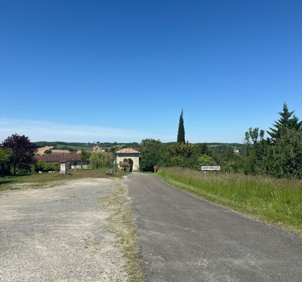 Petite promenade dans les bois à Saint-Arailles - Saint-Arailles - 1