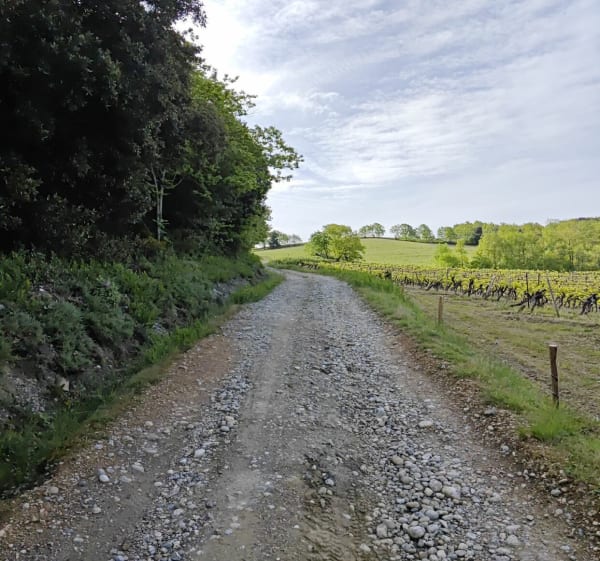 Villelongue d'Aude par le Bayle - Villelongue-d'Aude - 1