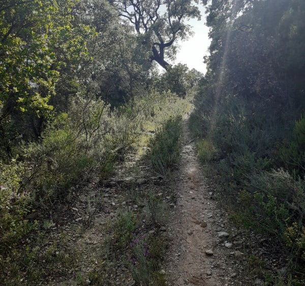 Randonnée vers les cascades de la Gourre - Bormes-les-Mimosas - 1