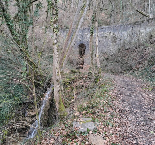 Balade autour des Adrets - Les Adrets - 1