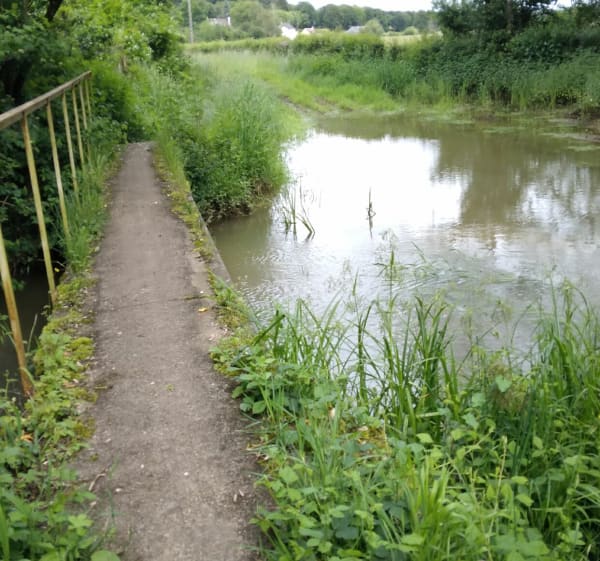 Grand tour dans la forêt des Amognes - Montigny-aux-Amognes - 1