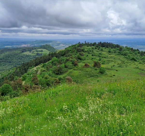 Du côté du Puy de Saint-Romain et des rives de l'Allier - Mirefleurs - 1