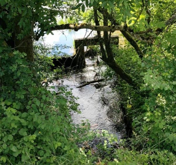 Randonnée à Soleymieu - Soleymieu - 1