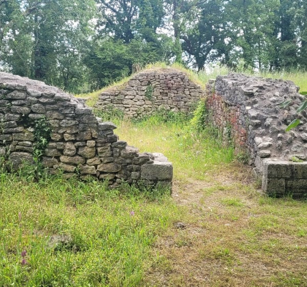 Boucle de Cissac au marais de Vertheuil - Cissac-Médoc - 1