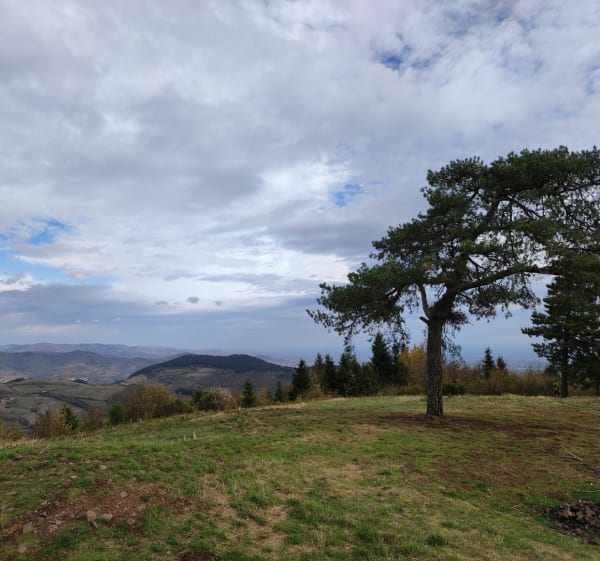 St-Just-d'Avray et vue imprenable - Saint-Cyr-le-Chatoux - 1