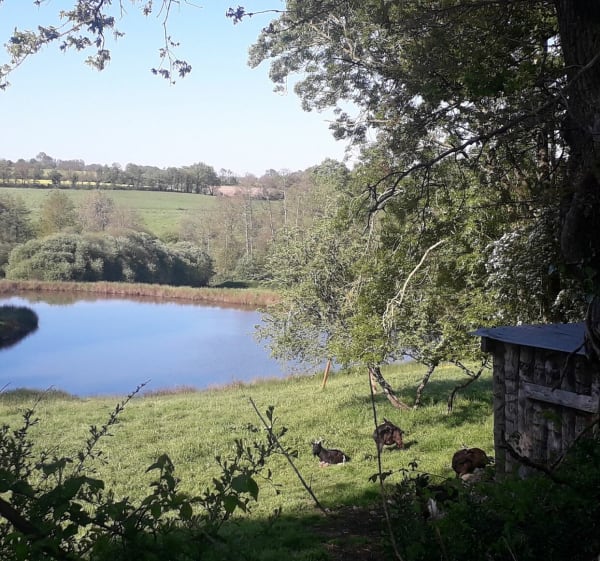 Le calme de Le Poiré-sur-vie - Le Poiré-sur-Vie - 1