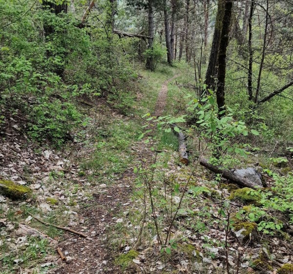 Parcours Béal Neuf jusqu'à Barthalay - Les Vigneaux - 1