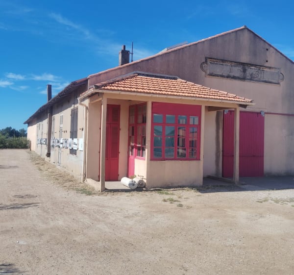 Marche à Hyères - Hyères - 1