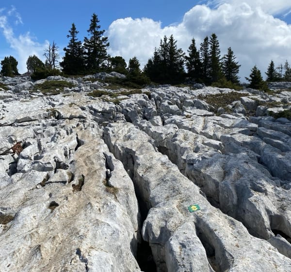 Montagne de Sous-Dîne, Col du Freu, Chalet de Balme - Fillière - 1