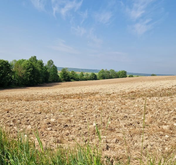 Autour de Rennemoulin - Noisy-le-Roi - 1