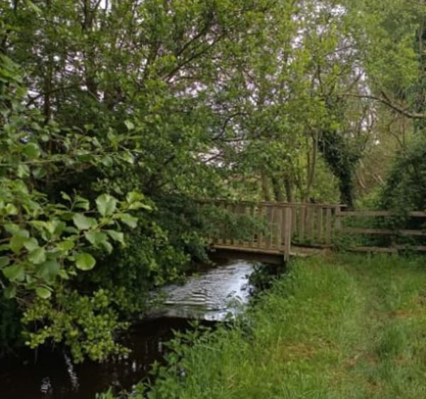 Superbe balade en pleine nature autour de Challes - Challes - 1