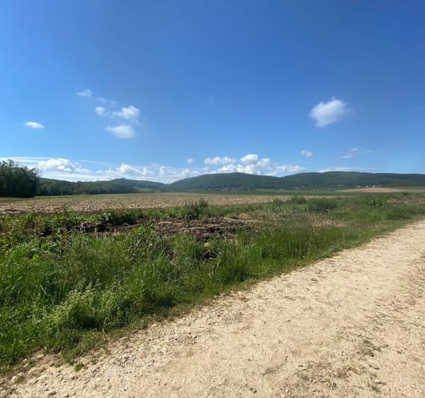 Petit tour tranquille depuis Vieux-Ferrette - Vieux-Ferrette - 1