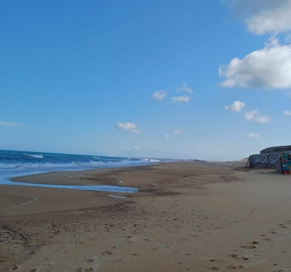 Labenne Ondres entre forêt et plage - Labenne - 1