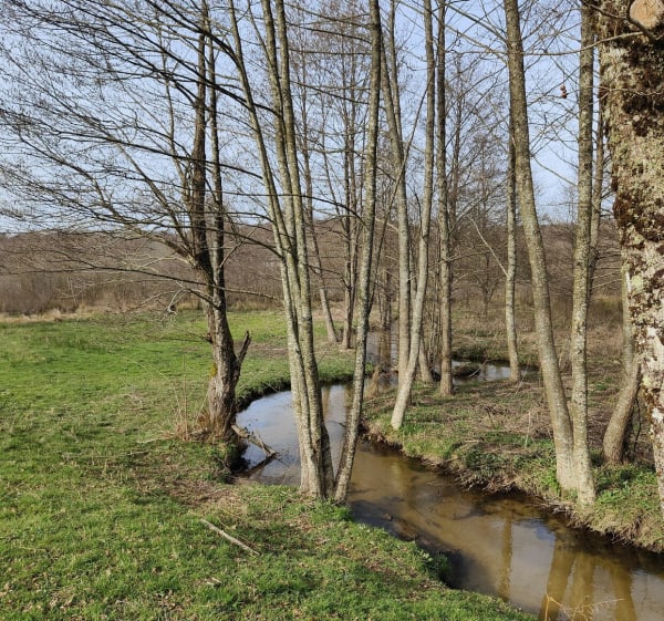 Tour du Lac de Tolerme - Sénaillac-Latronquière - 1