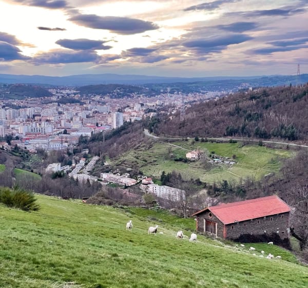 Chemin du Crêt du Loup - Saint-Étienne - 1