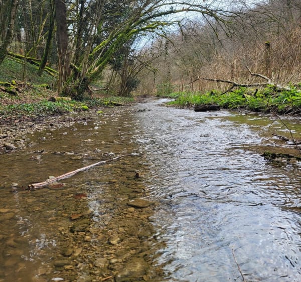 Source de la Doue par la Queuedrotte - Abbévillers - 1