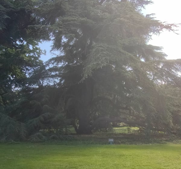 En ville, de parc en parc à Rennes - Rennes - 1
