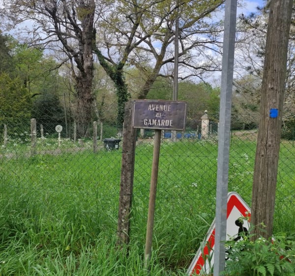 Balade de Jalles à Saint-Médard - Frederic - 1