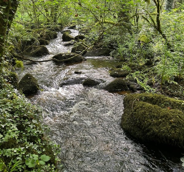 Autour du ruisseau de Matz - Caden - 1