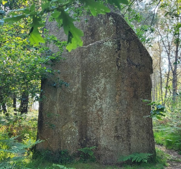 Vers les Menhirs autour de Molac - Molac - 1