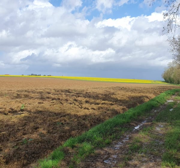 Autour de Coulommiers, par Bois Louis - Coulommiers - 1