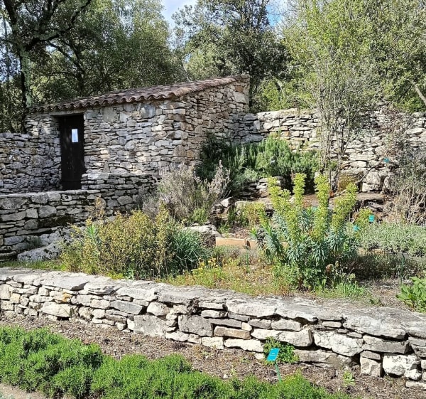 Randonnée autour de Valliguières - Valliguières - 1