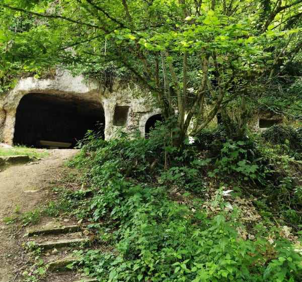 Sur les rives de la Creuse à Fontgombault - Fontgombault - 1