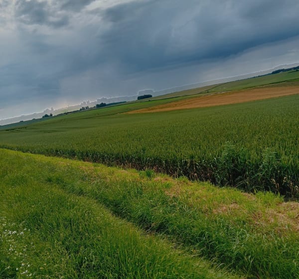 Balade dans les chemins entre les monuments historiques - Villers-Guislain - 1