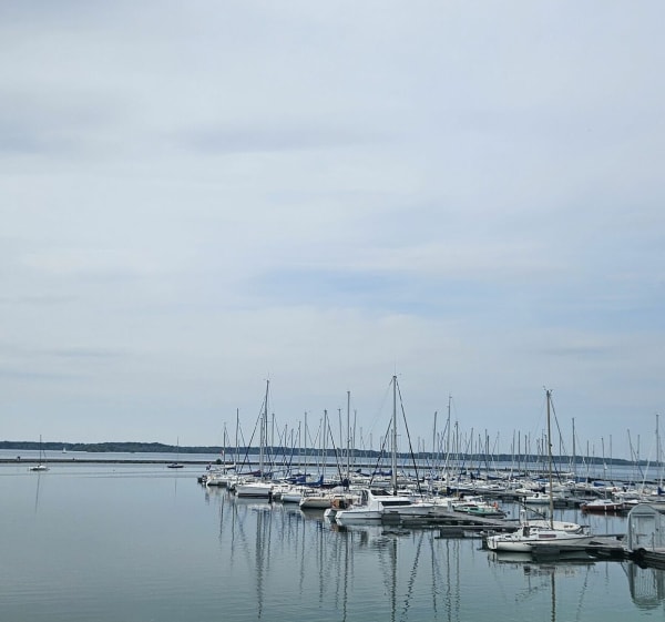 Tour des lacs d'Orient et du Temple - Lusigny-sur-Barse - 1