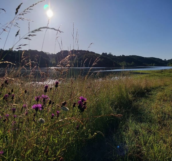 Chemin des crêtes et lac de Monpardiac - Rabastens-de-Bigorre - 1
