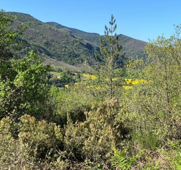 Petite rando pour découvrir le Poujol sur Orb - Le Poujol-sur-Orb - 1