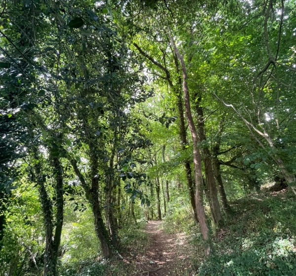 Tro san seo - Sainte-Sève - 1
