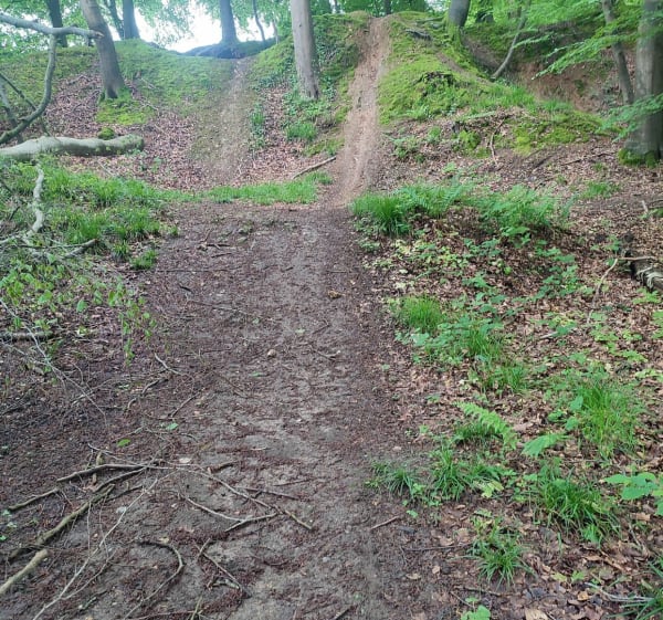 Forêt Domaniale Arques la bataille - Julien  - 1
