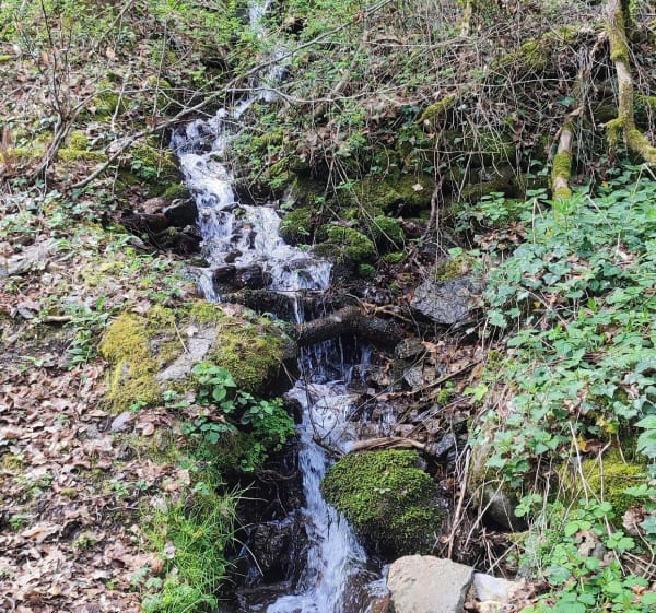 La grange bleue - Bort-les-Orgues - 1