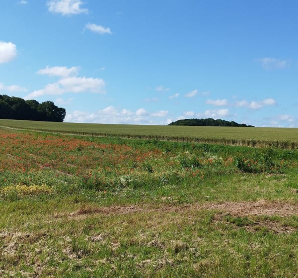 Boucle La Landelle - la Bosse - le Vaumain - Flavacourt - 1