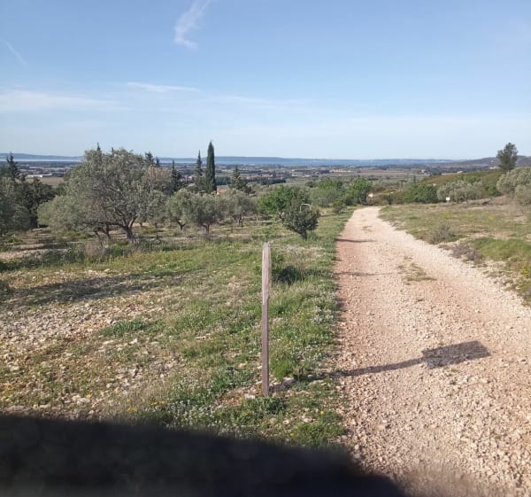 Plateau de la Fare-les-Oliviers - La Fare-les-Oliviers - 1