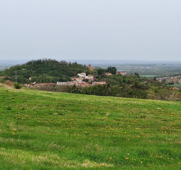 Tour Chauriat-Vertaizon: vue panoramique - Vertaizon - 1