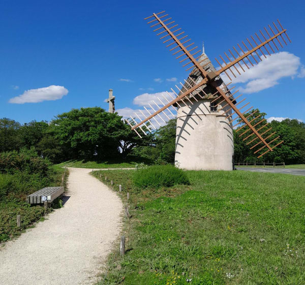 Petite balade autour du Mont des Alouettes - Les Herbiers - 1