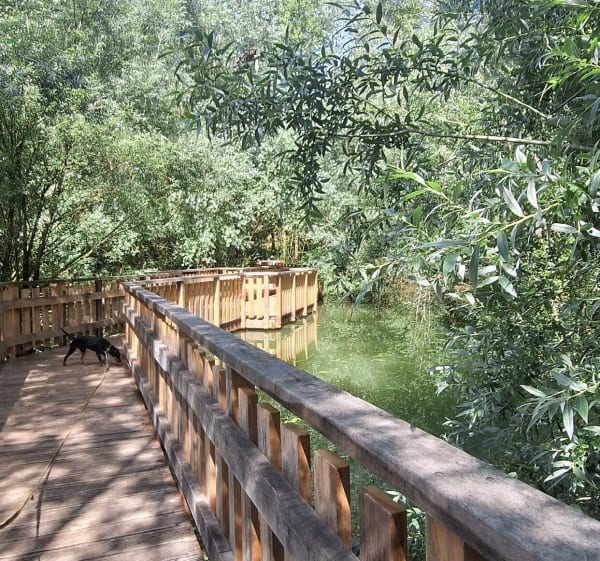 Balade au réservoir de Fourogue - Mailhoc - 1
