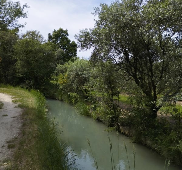 Canal de Carpentras autour de Sarrians - Sarrians - 1