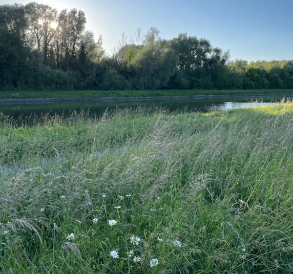 Boucle sur le canal d’Aire - Annezin - 1
