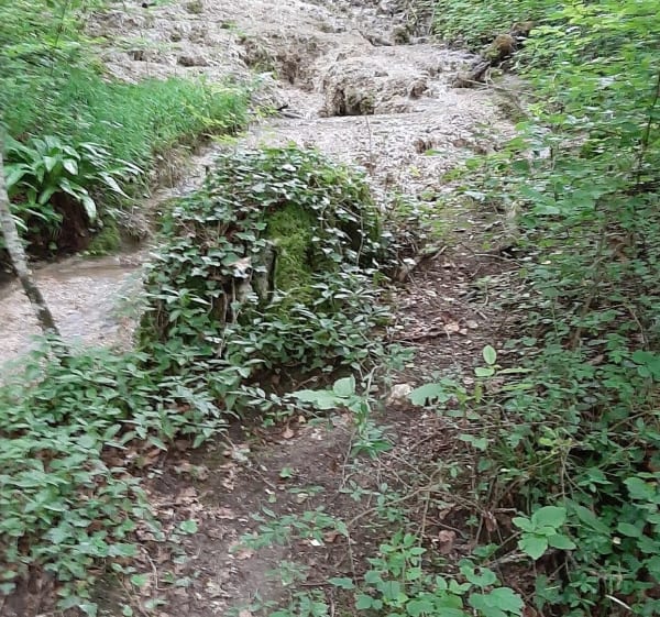 Le rocher qui pleure - Saint-Laurent-du-Pont - 1