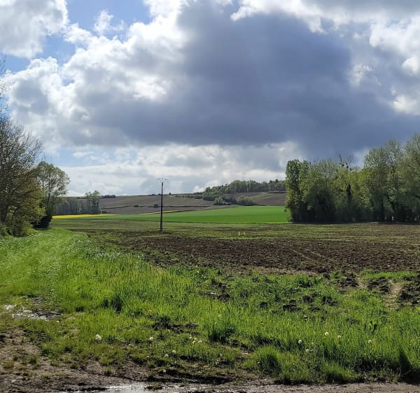 Balade à VTC en vallée de l'Ardre - Faverolles-et-Coëmy - 1