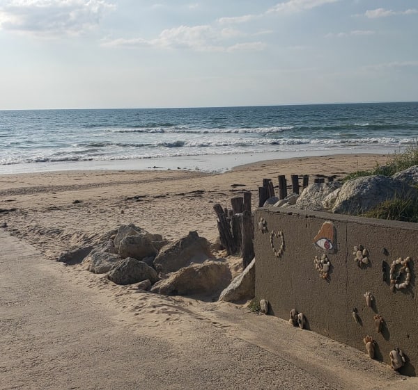 Balade en bord de plage à l'île d'Oléron - Saint-Pierre-d'Oléron - 1