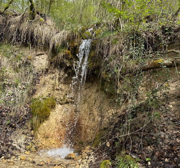 La source des Anges - Neufchef - 1